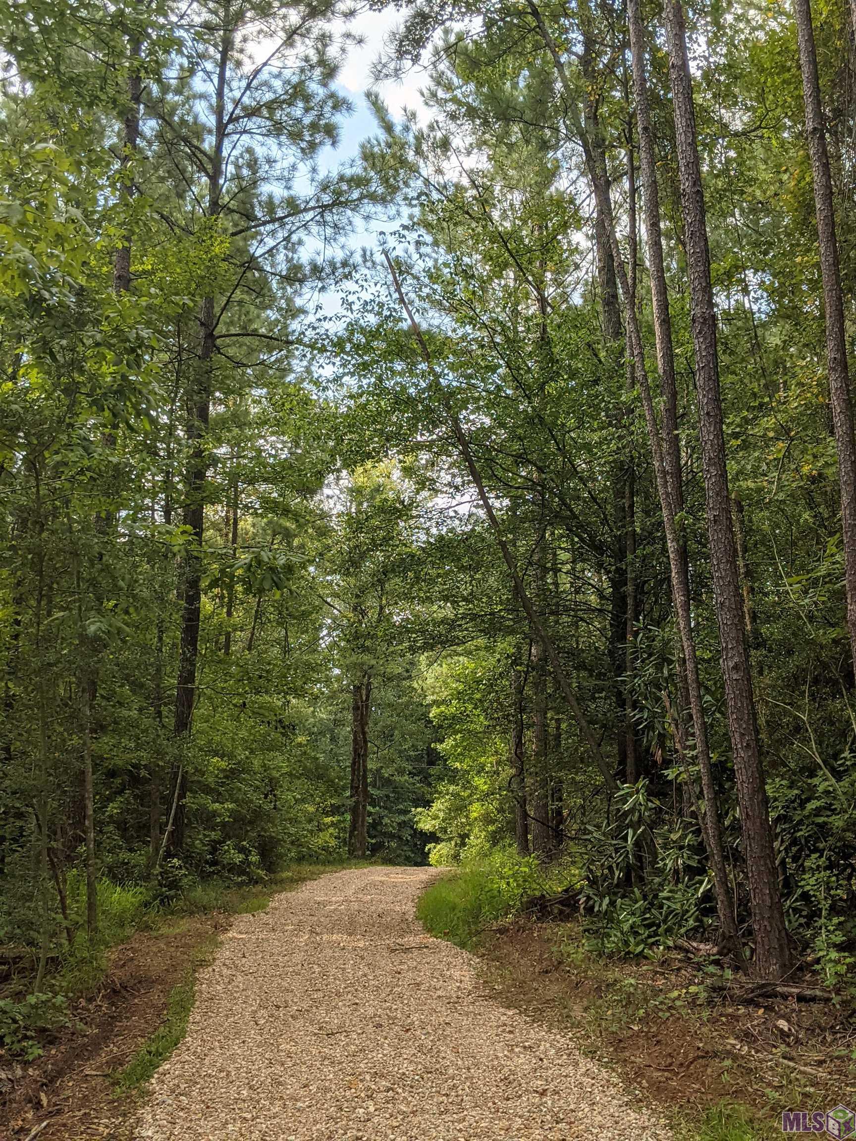 4855 Highway 952 Jackson, LA 70748 - Photo 2 of 34 TREE LINED PROPERTY