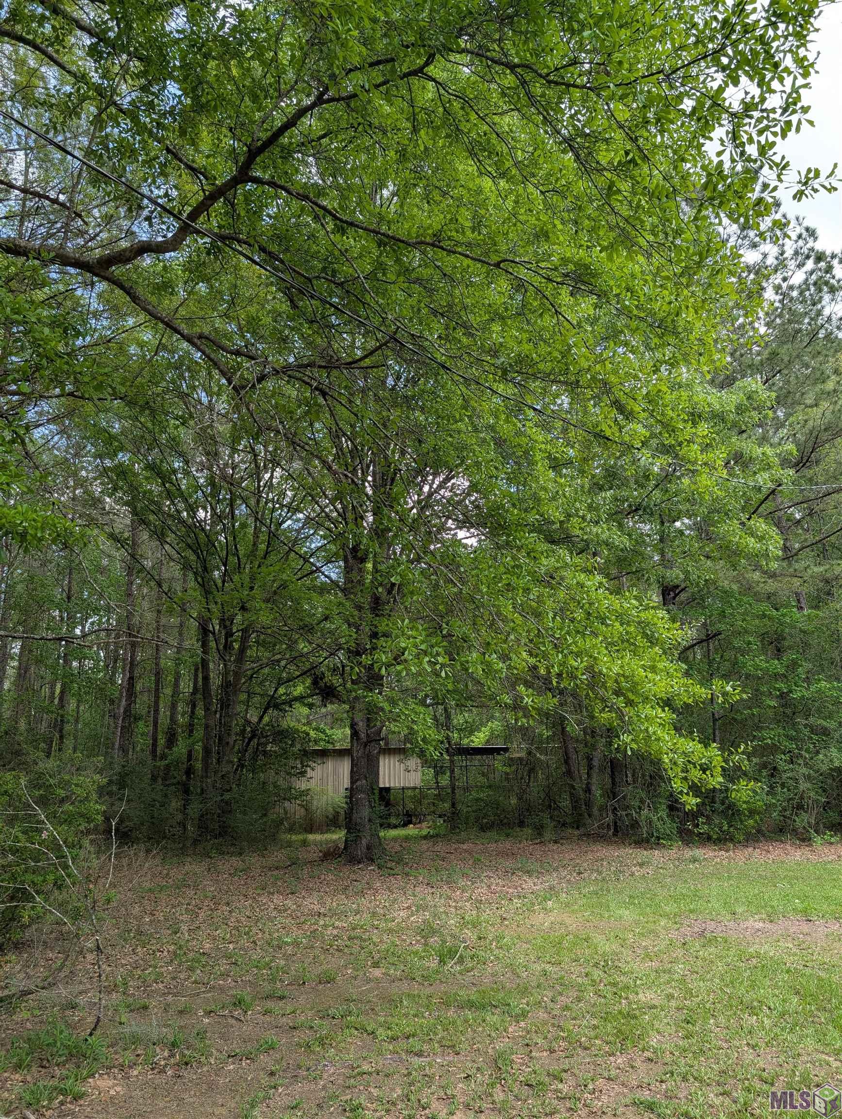 4855 Highway 952 Jackson, LA 70748 - Photo 23 of 34 POLE BARN