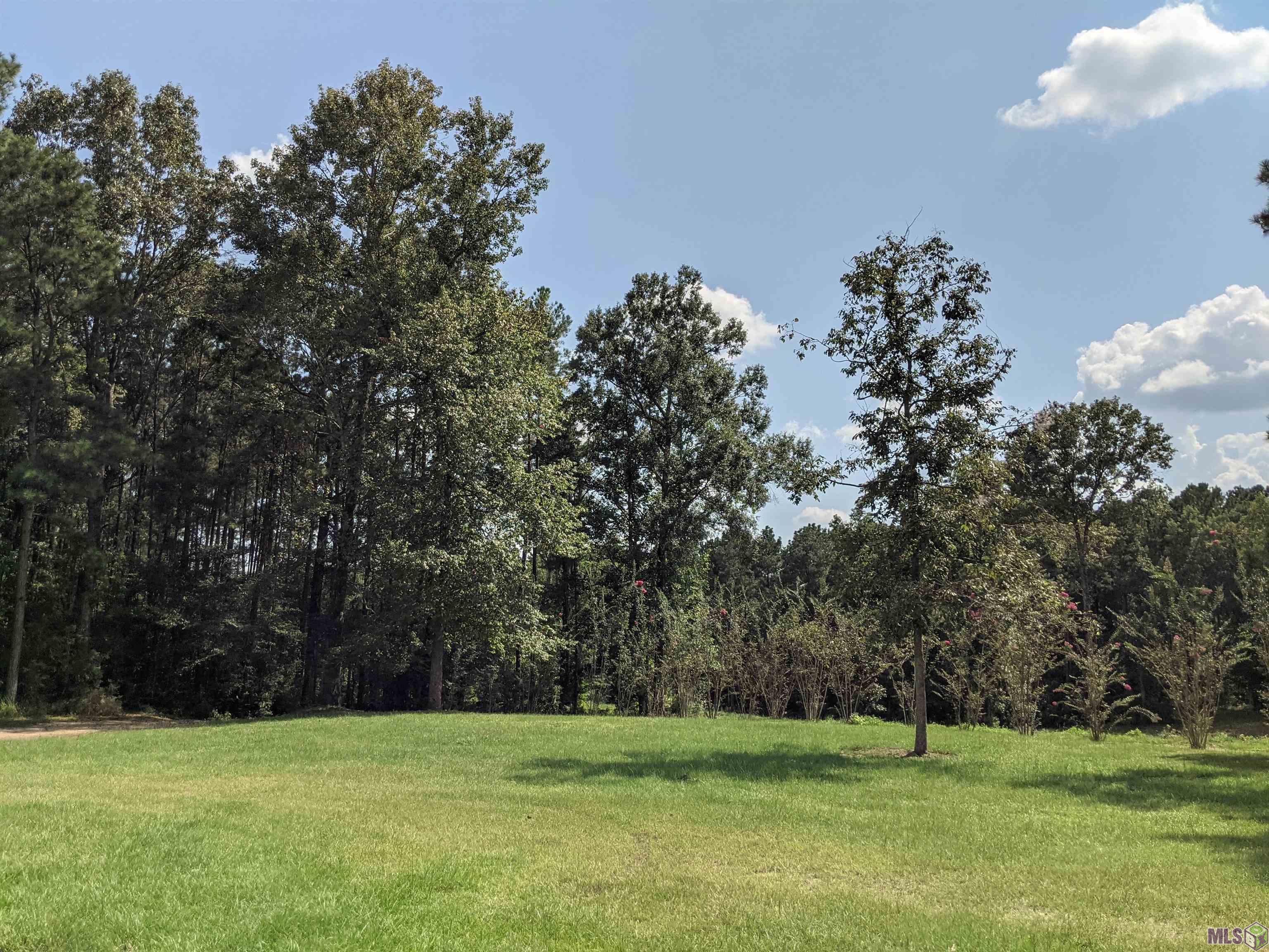 4855 Highway 952 Jackson, LA 70748 - Photo 25 of 34 SOLITUDE AND TRANQUILITY