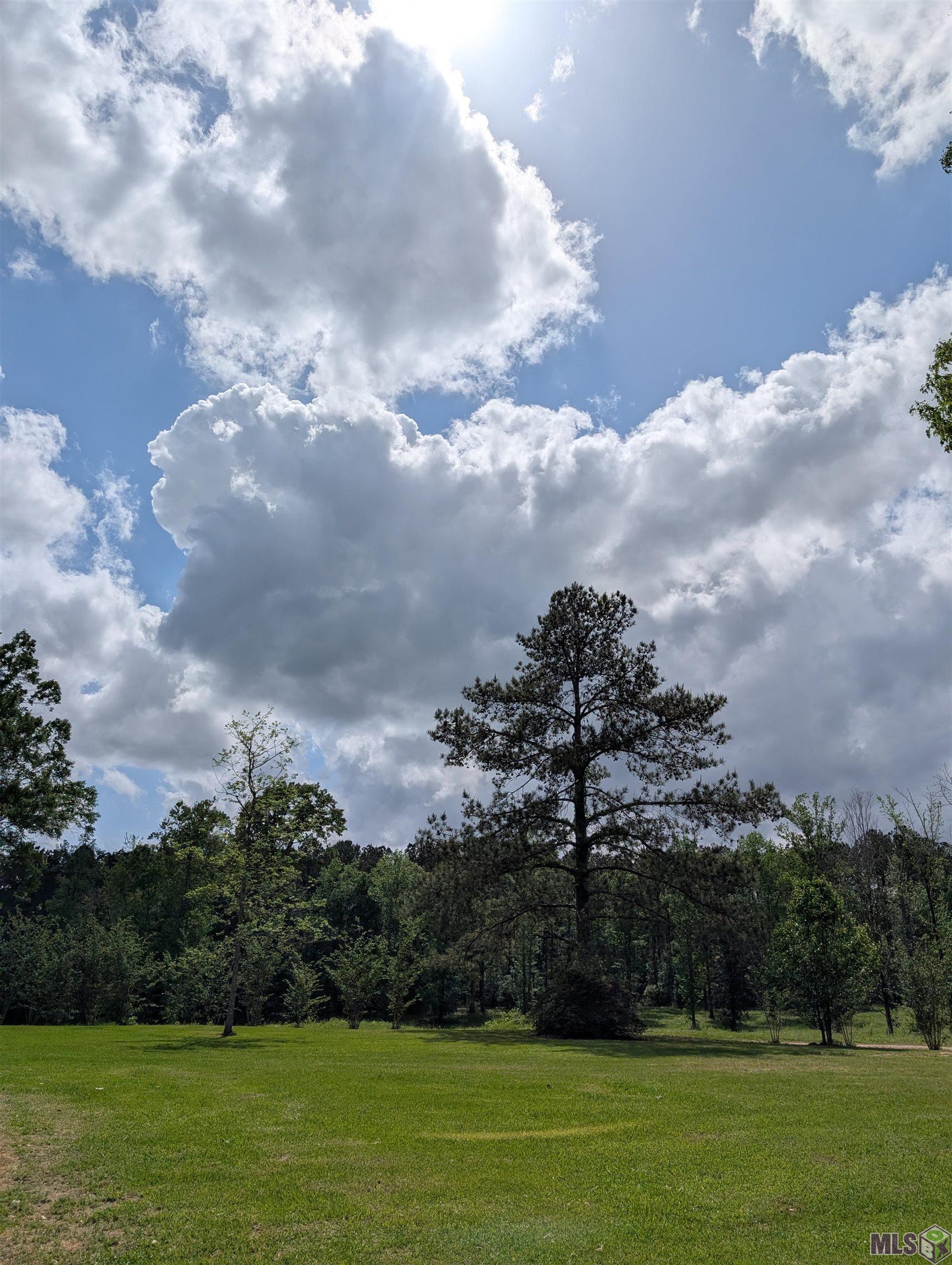 4855 Highway 952 Jackson, LA 70748 - Photo 26 of 34