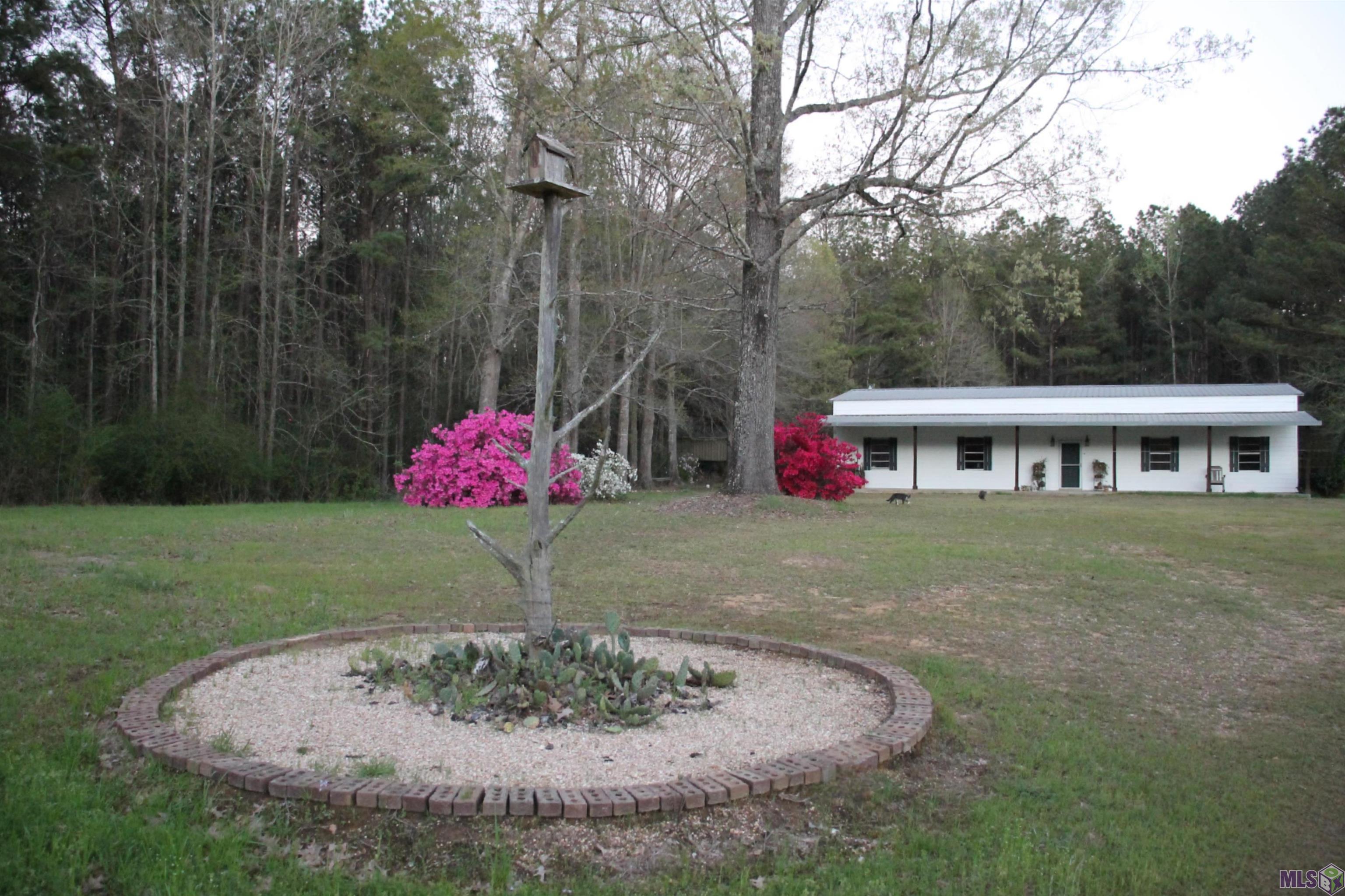 4855 Highway 952 Jackson, LA 70748 - Photo 27 of 34 SPRING AZALEAS IN BLOOM