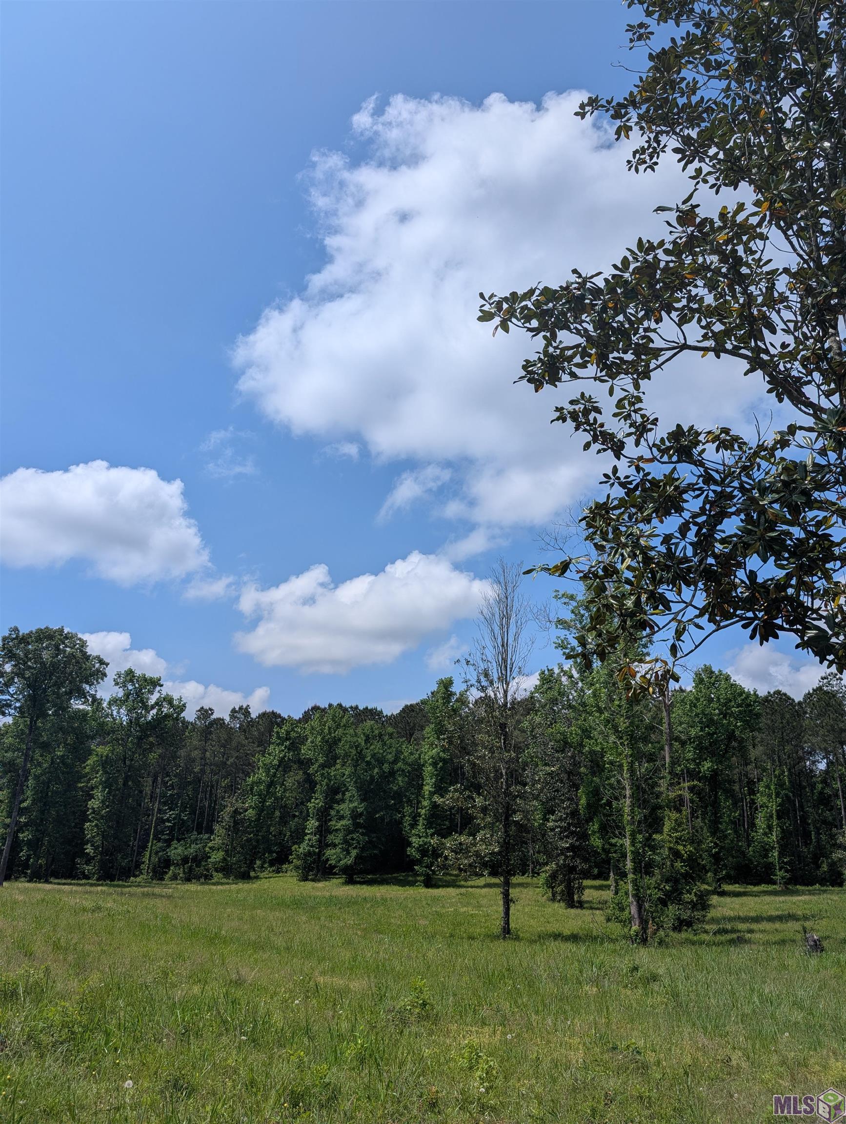 4855 Highway 952 Jackson, LA 70748 - Photo 32 of 34 Peaceful Meadows