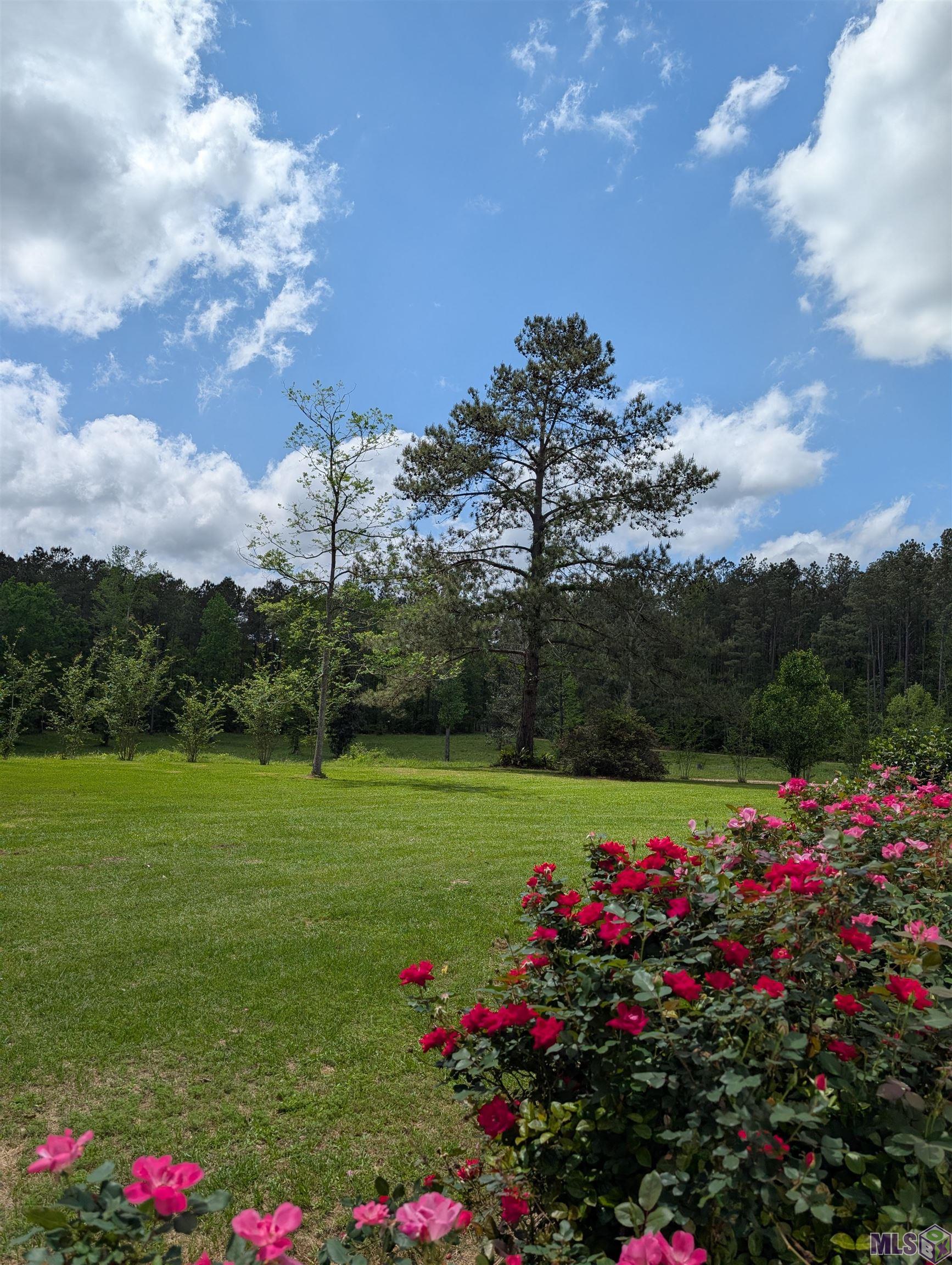 4855 Highway 952 Jackson, LA 70748 - Photo 6 of 34 ROLLING HILLS AND MEADOWS
