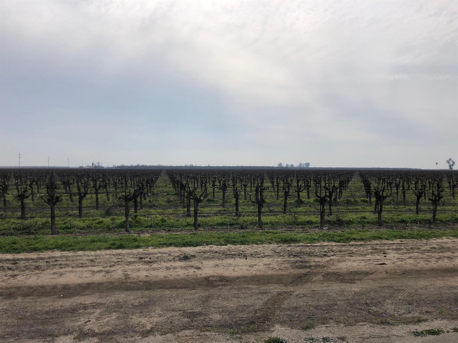 0 Road 23 Madera, CA 93637 - Photo 3 of 4 a view of a yard