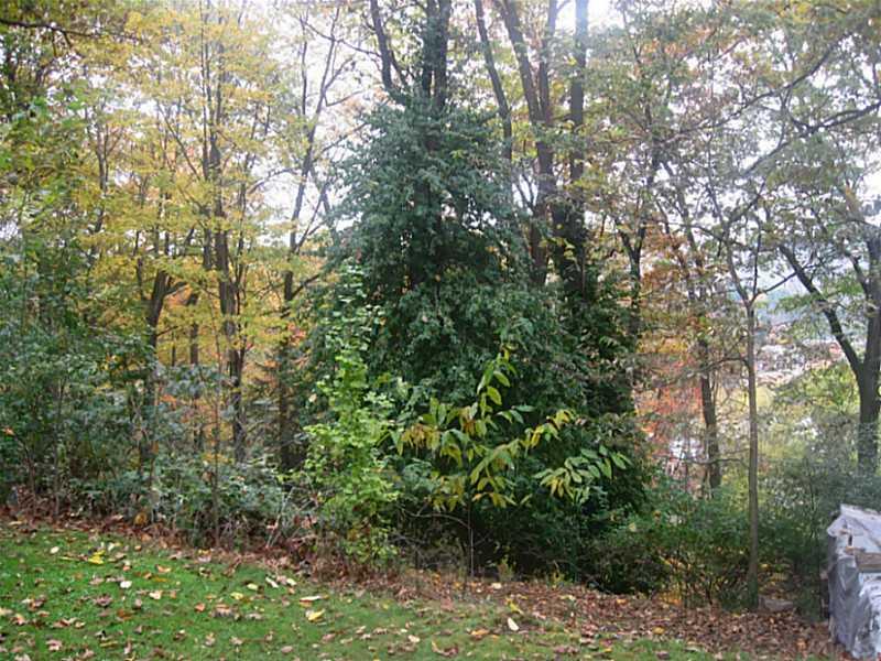 663 Blue Ridge Road Plum, PA 15239 - Photo 6 of 24 Yard/Garden.