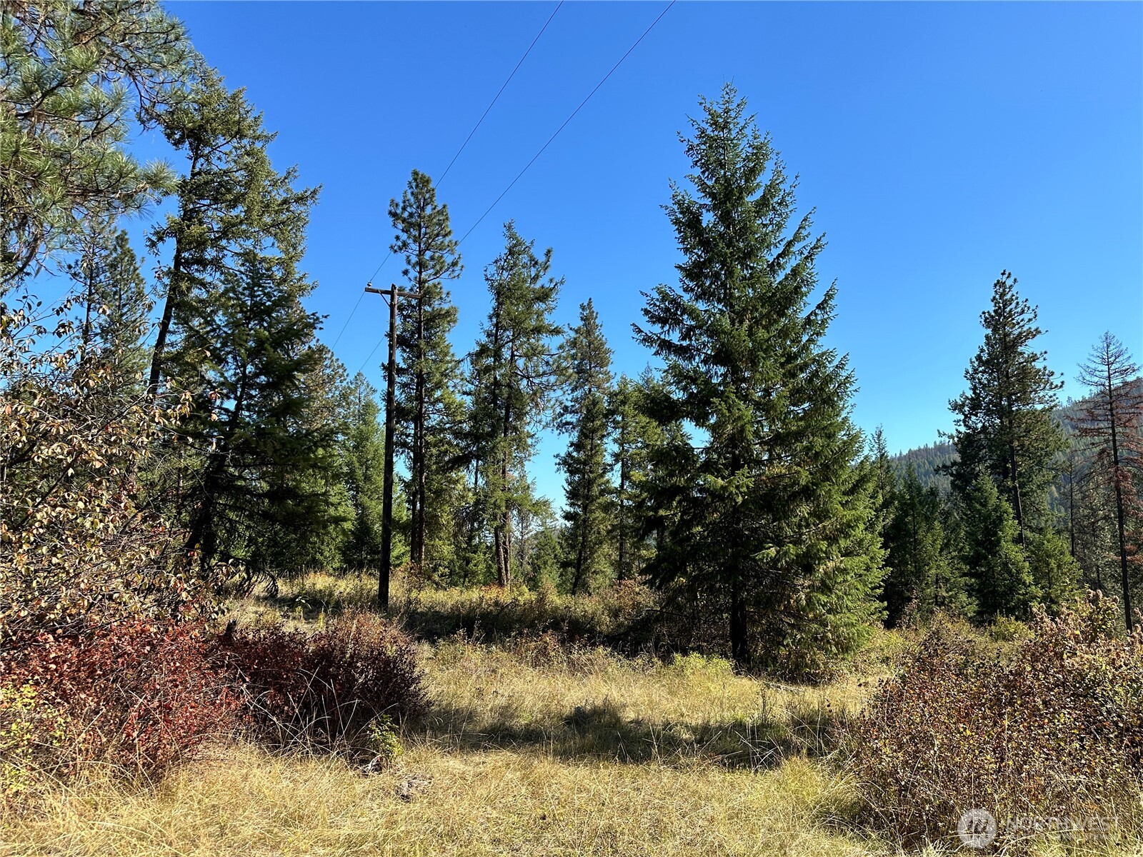 1 Deadman Creek Road Kettle Falls, WA 99141 - Photo 14 of 21 Gallery Image 14