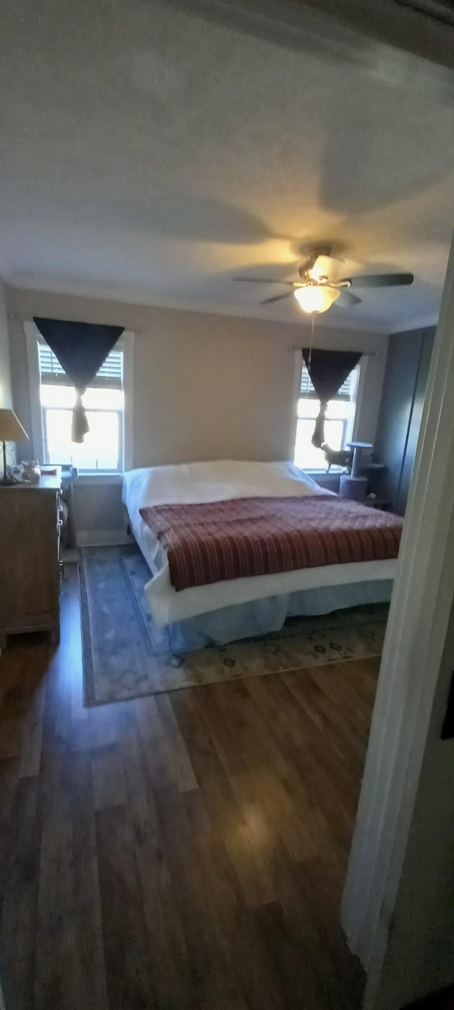 67 Cr 306 Road Iuka, MS 38852 - Photo 9 of 23 Primary Bedroom with dark wood-style flooring, multiple windows, and a ceiling fan