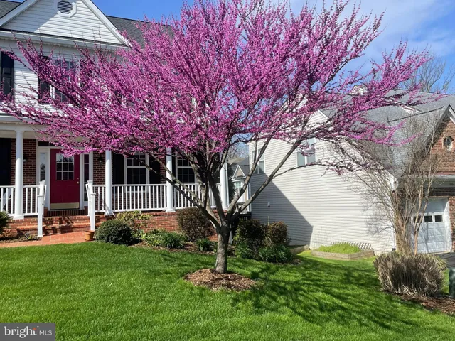 $1,079,000 | 7736 White Willow Court, Springfield, VA 22153