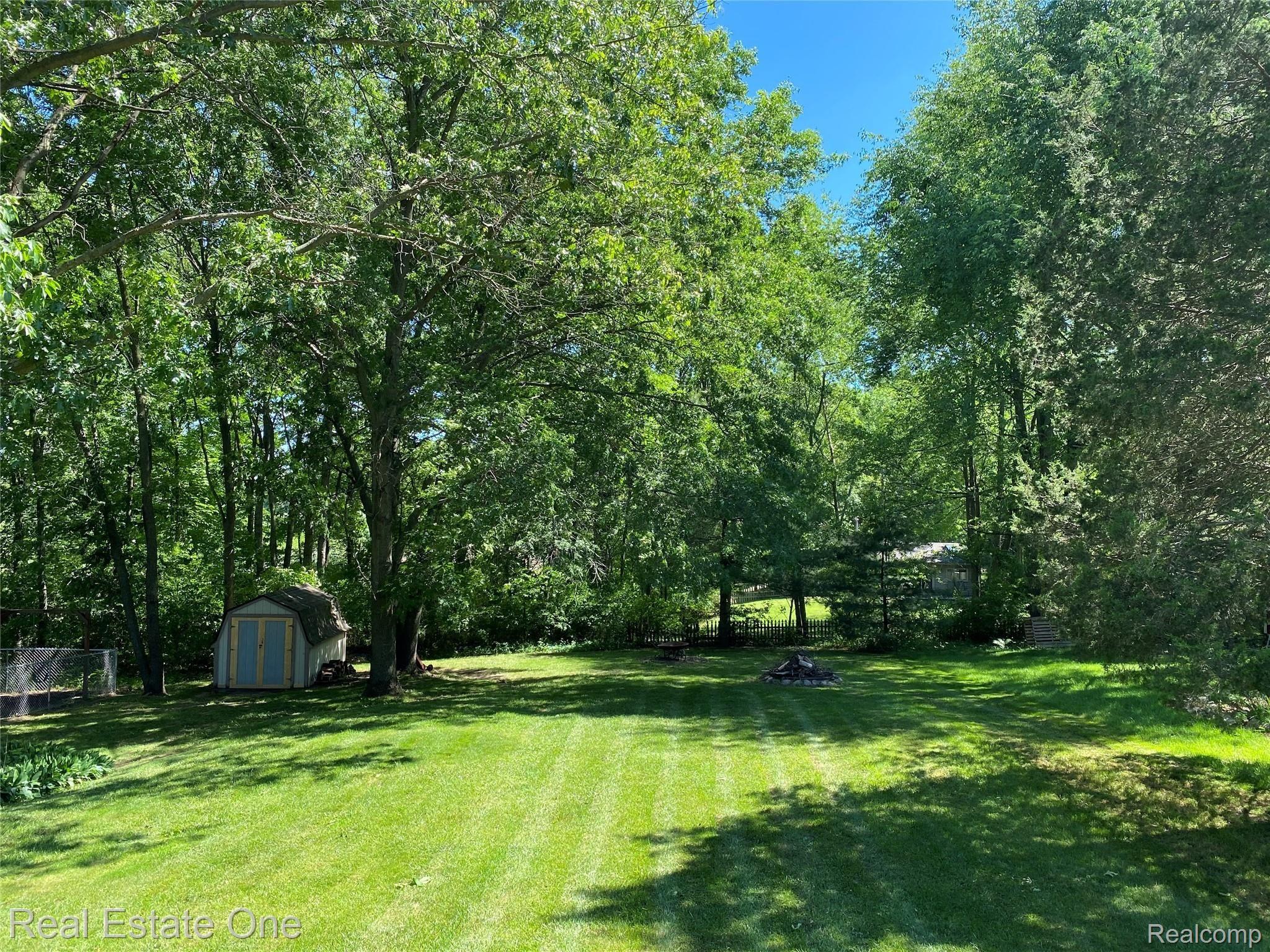 backyard.jpg