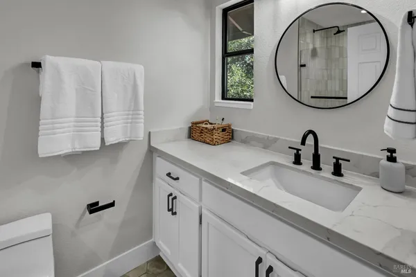 a view of a garden with plants