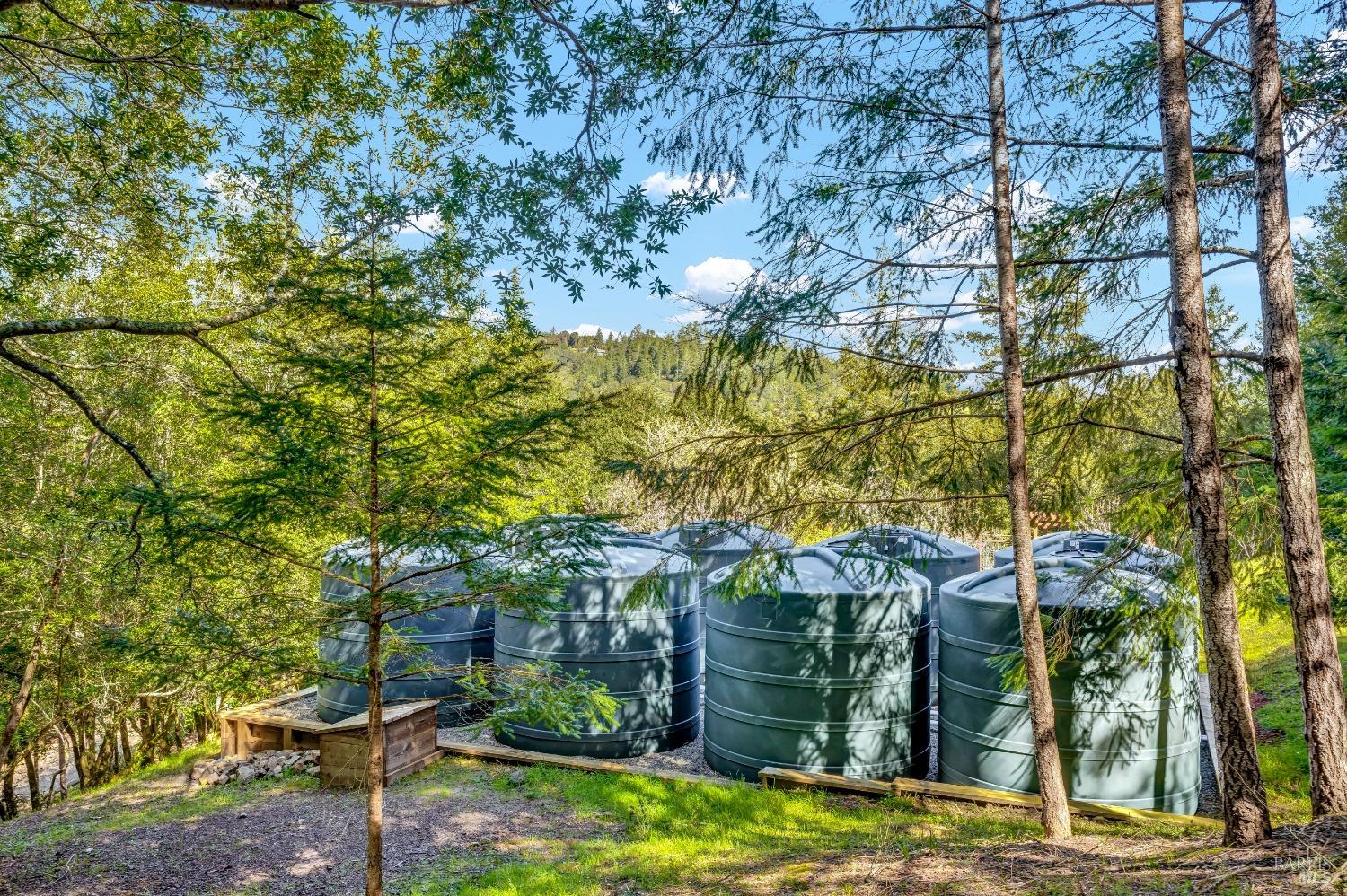 40 Los Pinos Nicasio, CA 94946 - Photo 94 of 99