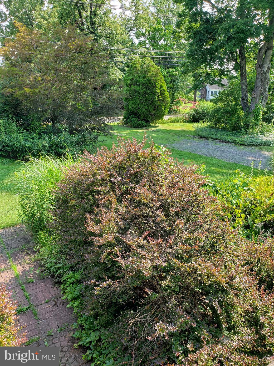 13 Woosamonsa Road Pennington, NJ 08534 - Photo 28 of 29 Front Yard