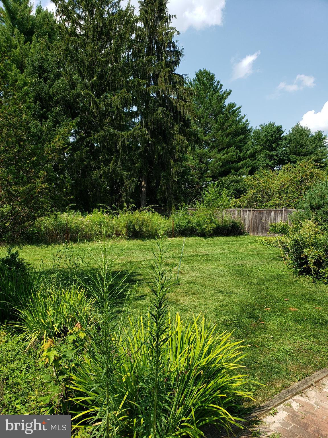 13 Woosamonsa Road Pennington, NJ 08534 - Photo 29 of 29 Backyard