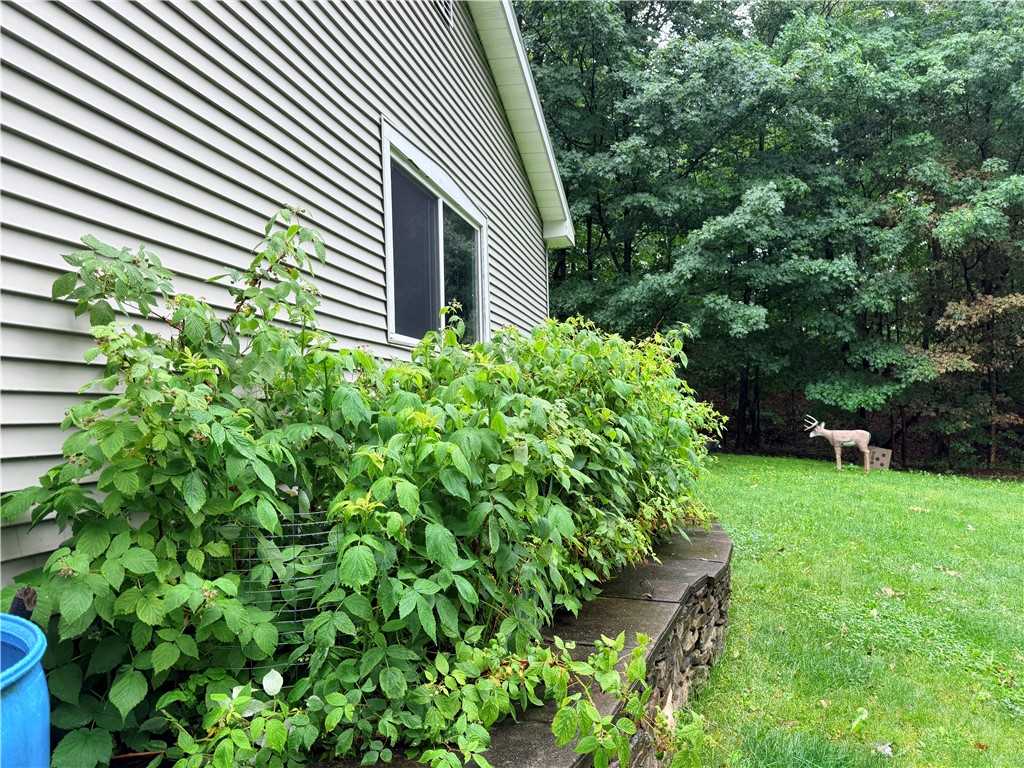 3227 Swain Hill Road Grove, NY 14836 - Photo 3 of 21 Berry bushes