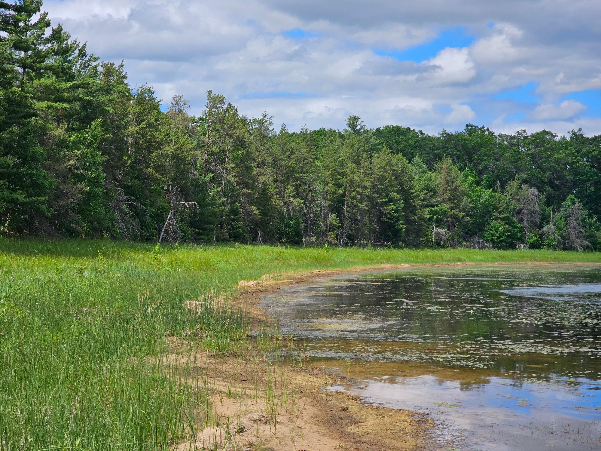 Lot 2 North Bass Lake Road Webster, WI 54893 - Photo 6 of 13