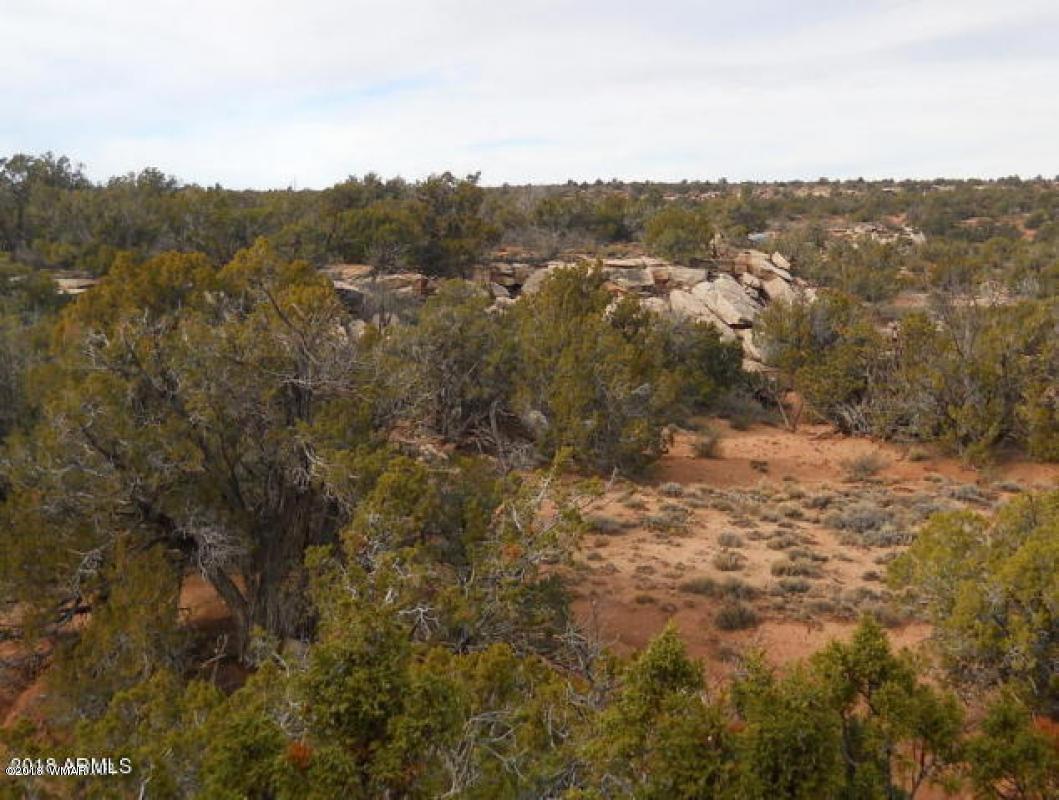 3724 Dusty Road Snowflake, AZ 85937 - Photo 14 of 16