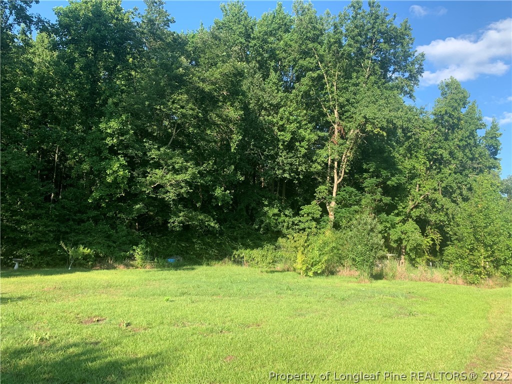 942 Potter Road Raeford, NC 28376 - Photo 3 of 11 Gallery Image 3