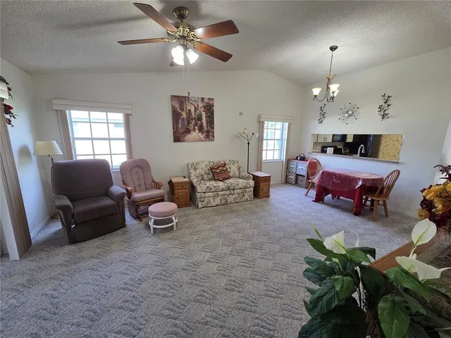 a living room with furniture flowerpot and a chandelier