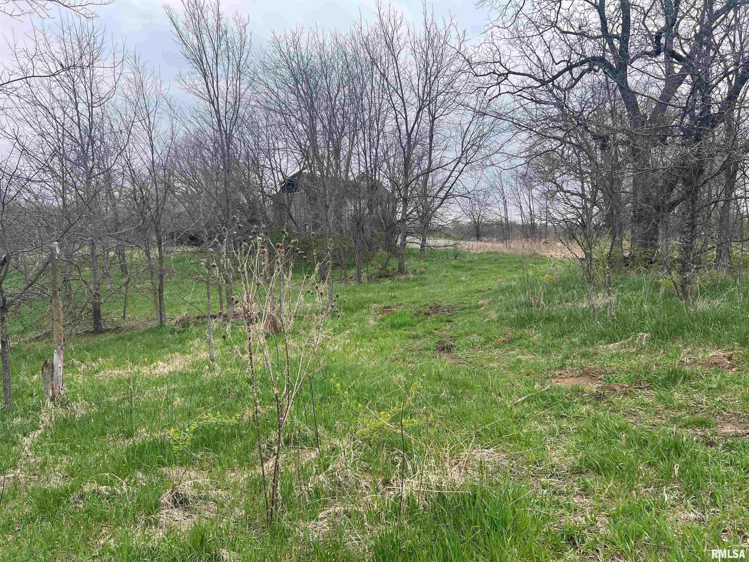 Rr Flower Creek Road Plymouth, IL 62367 - Photo 3 of 30