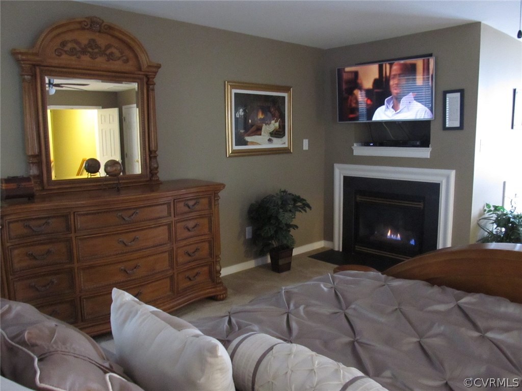 9366 Springmount Terrace Chesterfield, VA 23832 - Photo 9 of 20 a living room with furniture a fireplace and a flat screen tv