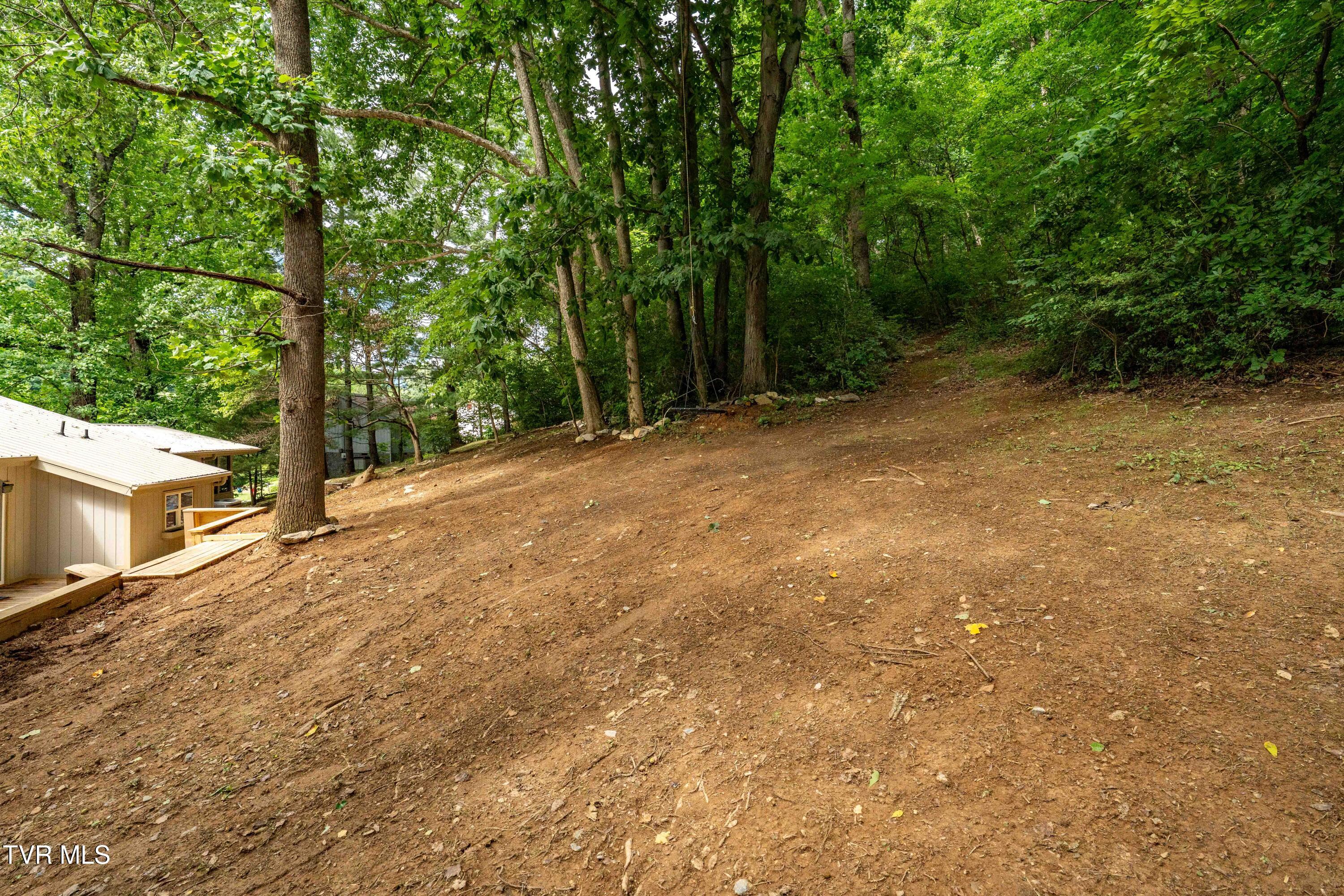 1113 Berry Road Elizabethton, TN 37643 - Photo 79 of 88 1113 Berry Rd (47 of 89)