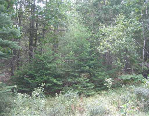 50 Sweet Fern Road Bar Harbor, ME 04609 - Photo 3 of 3 Land.