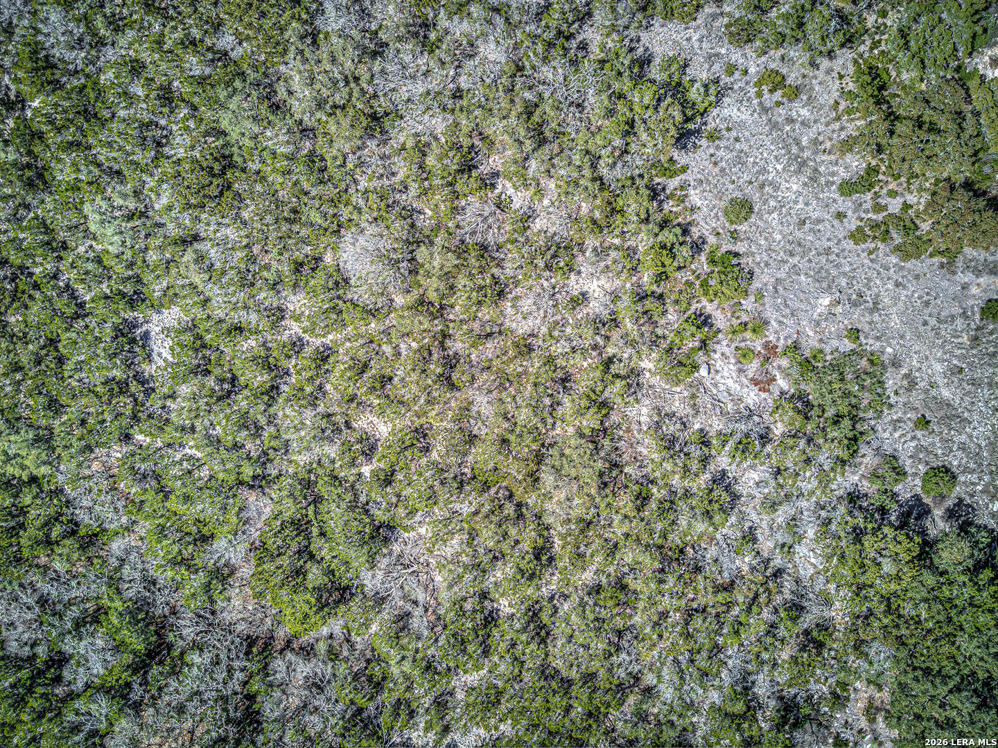 Lot 412 Pr 1748 Mico, TX 78056 - Photo 18 of 30