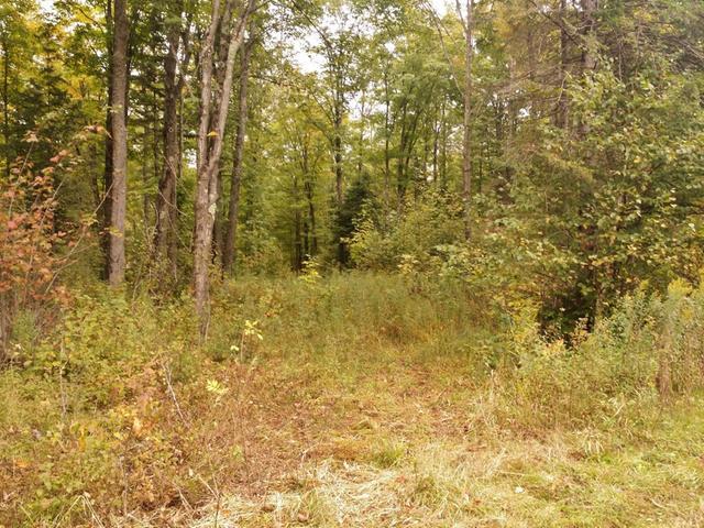 Off Wood Creek Avenue Rib Lake, WI 54470 - Photo 3 of 16 Gallery Image 3