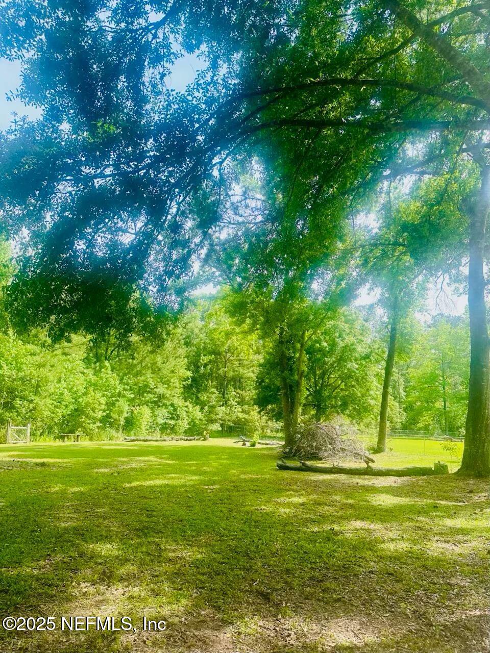 44291 Pinebreeze Circle Callahan, FL 32011 - Photo 9 of 13 beyc67f8b5bfa6afc