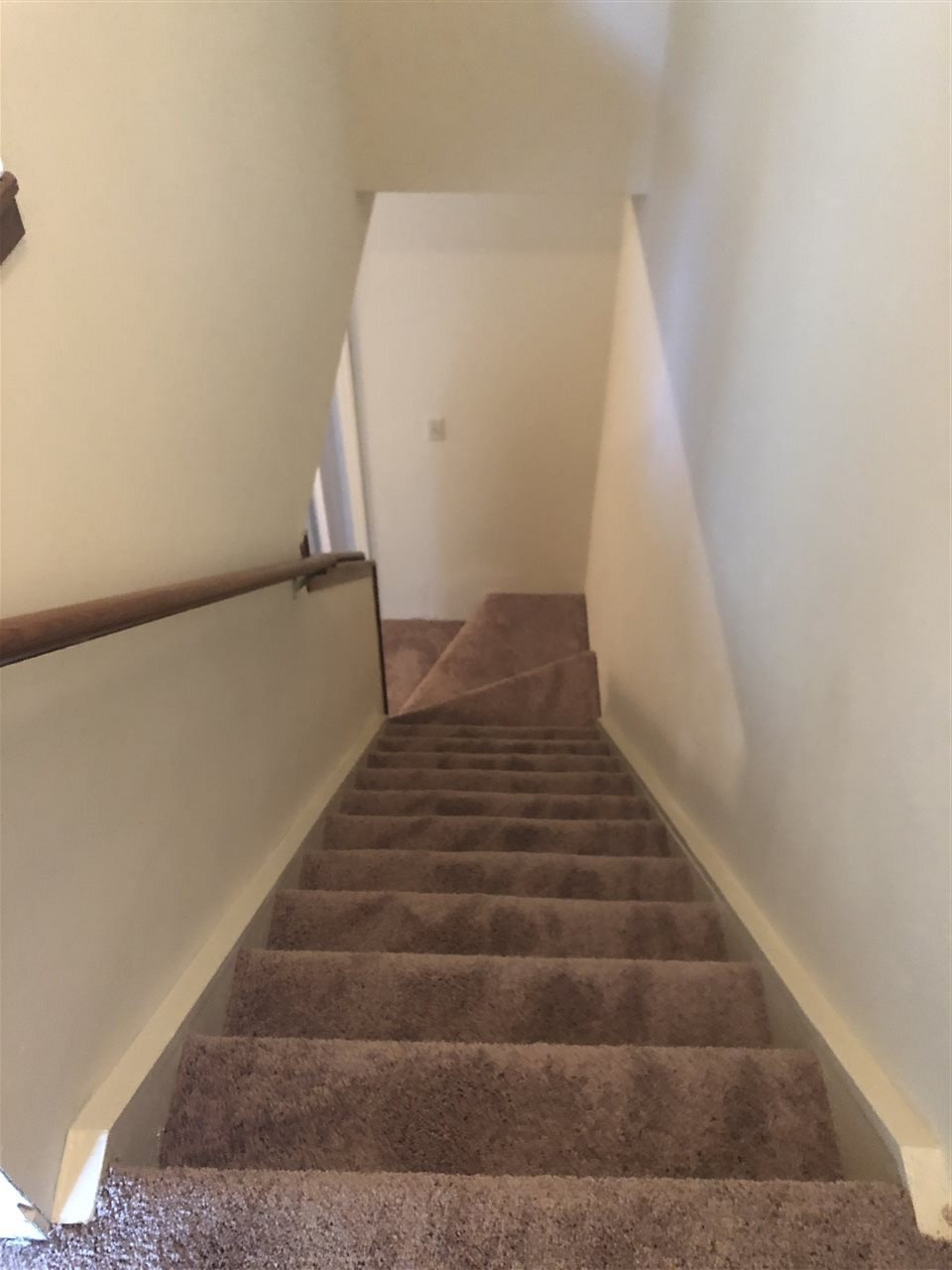 2803 Ferret Court Raleigh, NC 27610 - Photo 10 of 11 Photo 10