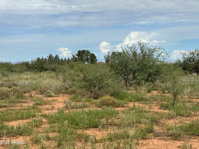 a view of a lake with a mountain