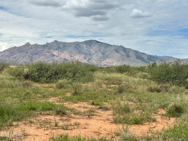 a view of a lush green hillside and a mountain