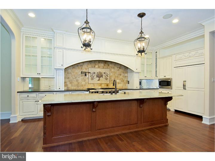 778 Parkes Run Lane Villanova, PA 19085 - Photo 5 of 23 Kitchen