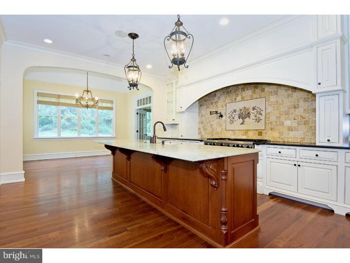 778 Parkes Run Lane Villanova, PA 19085 - Photo 6 of 23 Kitchen