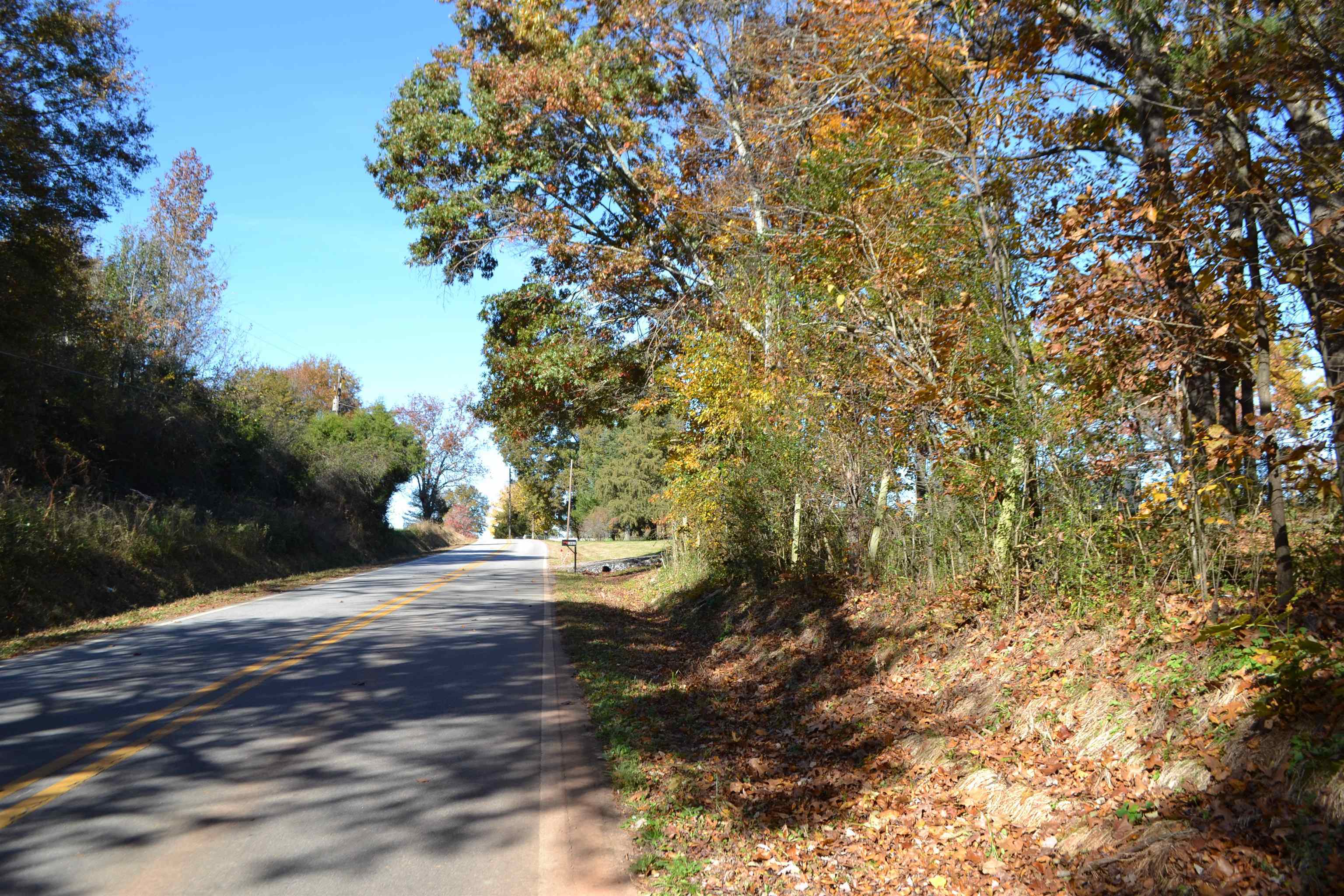 2007 Moccasin Gap Road Commerce, GA 30530 - Photo 1 of 1 a view of a yard with plants and trees