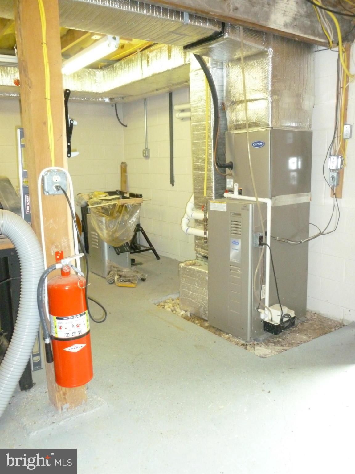 4153 Fiery Run Road Linden, VA 22642 - Photo 27 of 30 Basement