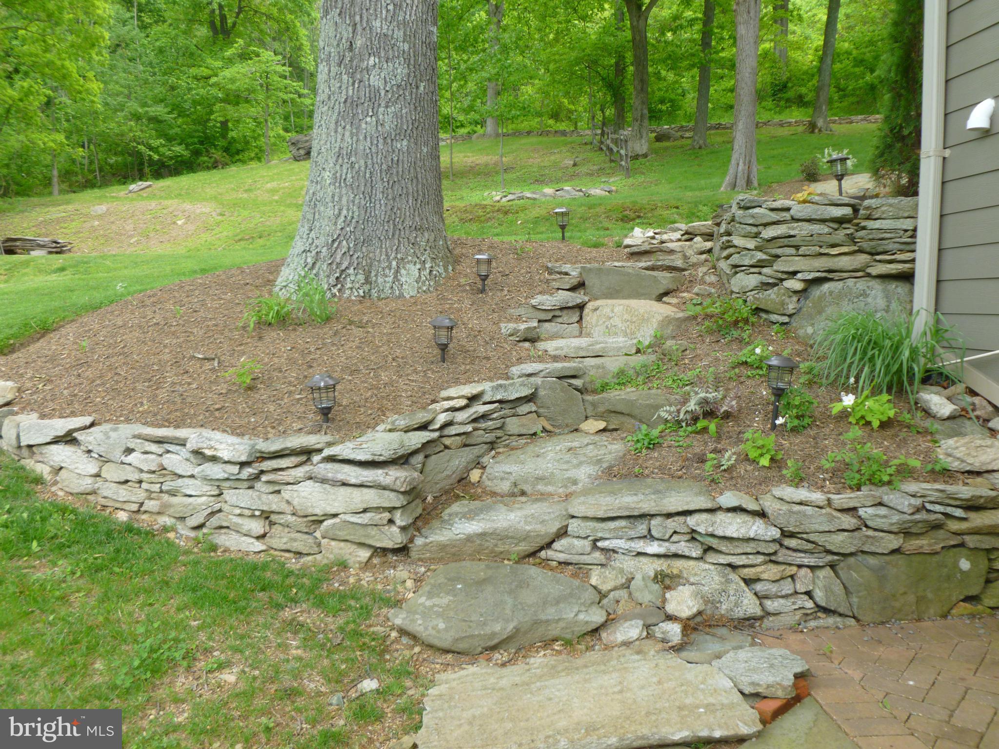 4153 Fiery Run Road Linden, VA 22642 - Photo 29 of 30 Exterior (General)