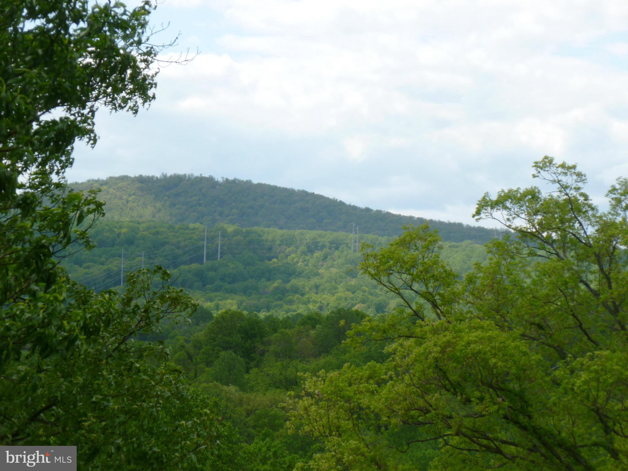 4153 Fiery Run Road Linden, VA 22642 - Photo 5 of 30 View