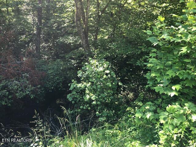 Street Place Loop Monterey, TN 38574 - Photo 2 of 6 Street Place Loop 15:5