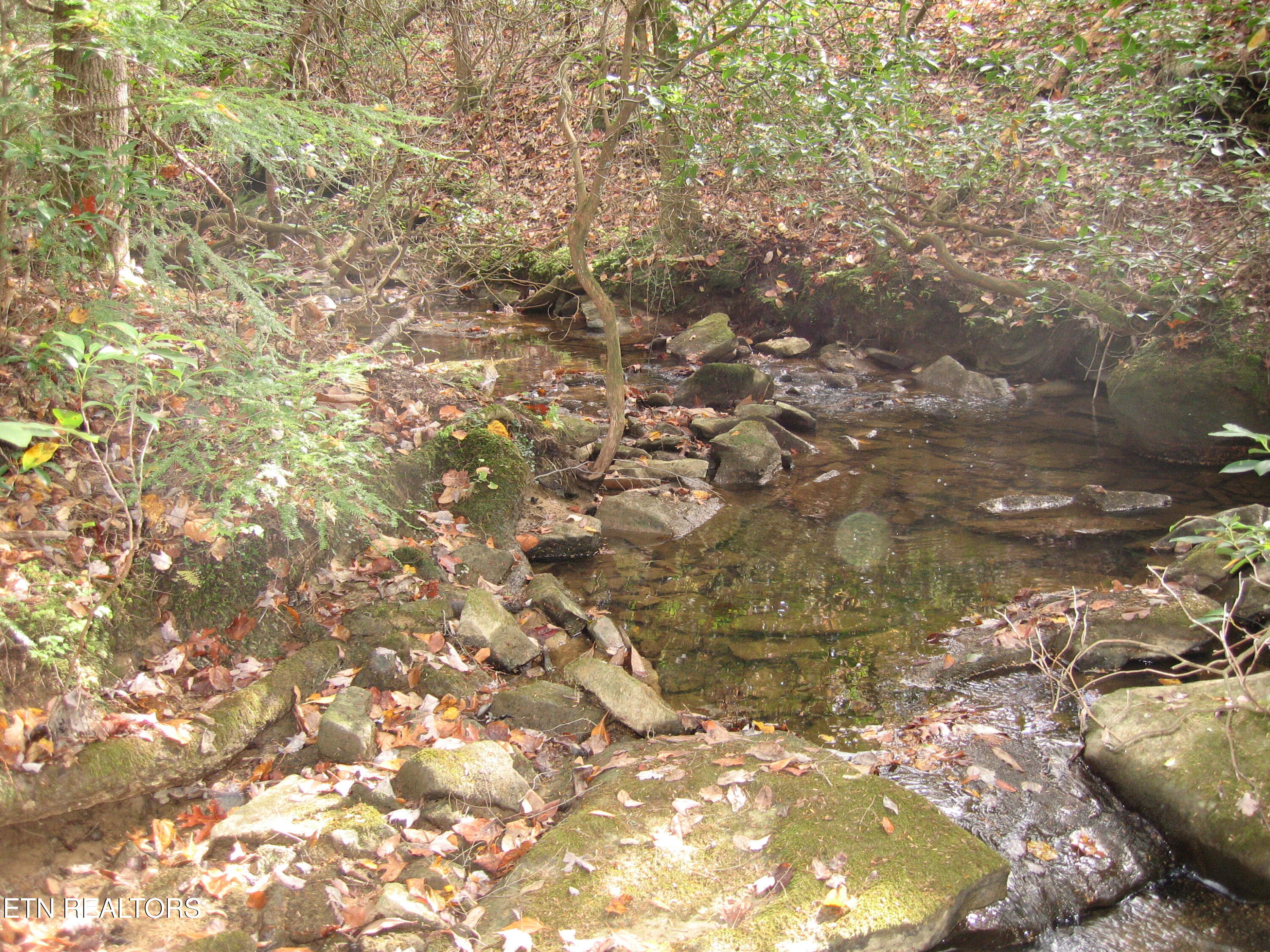 Street Place Loop Monterey, TN 38574 - Photo 3 of 6 Street Place Loop 15:6