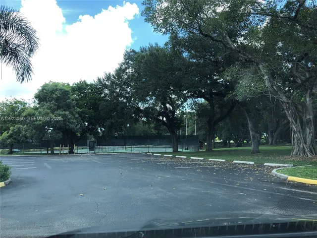 a view of a tree in a yard