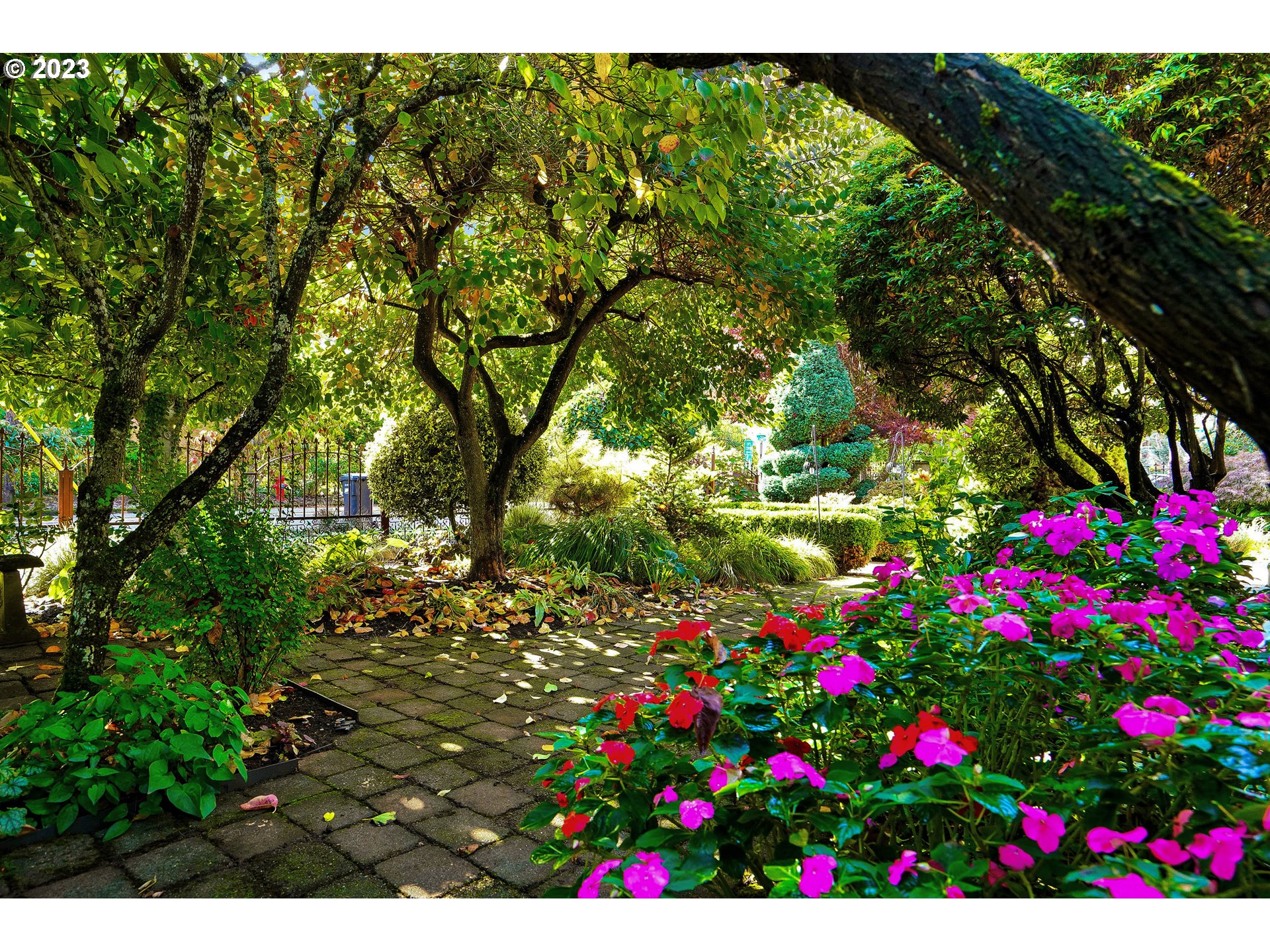 810 North Water Street Silverton, OR 97381 - Photo 48 of 48 a view of a flower in a garden