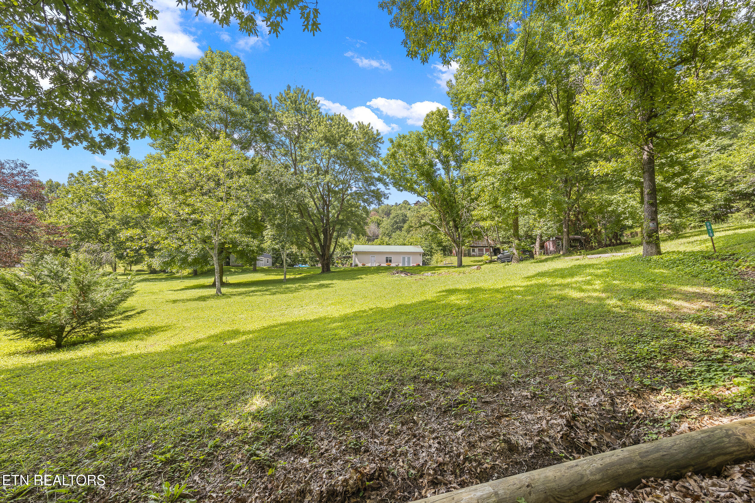 2019 Little Cove Road Sevierville, TN 37862 - Photo 2 of 50 006A8006