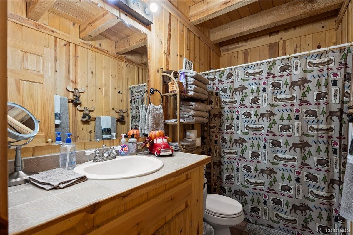 1119 Venture Road Fairplay, CO 80440 - Photo 23 of 49 a bathroom with a sink toilet and shower