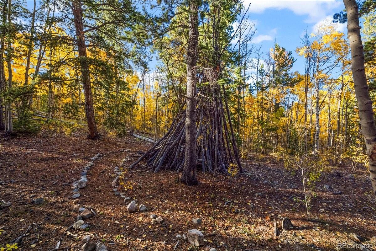 1119 Venture Road Fairplay, CO 80440 - Photo 42 of 49 a view of a yard with a tree