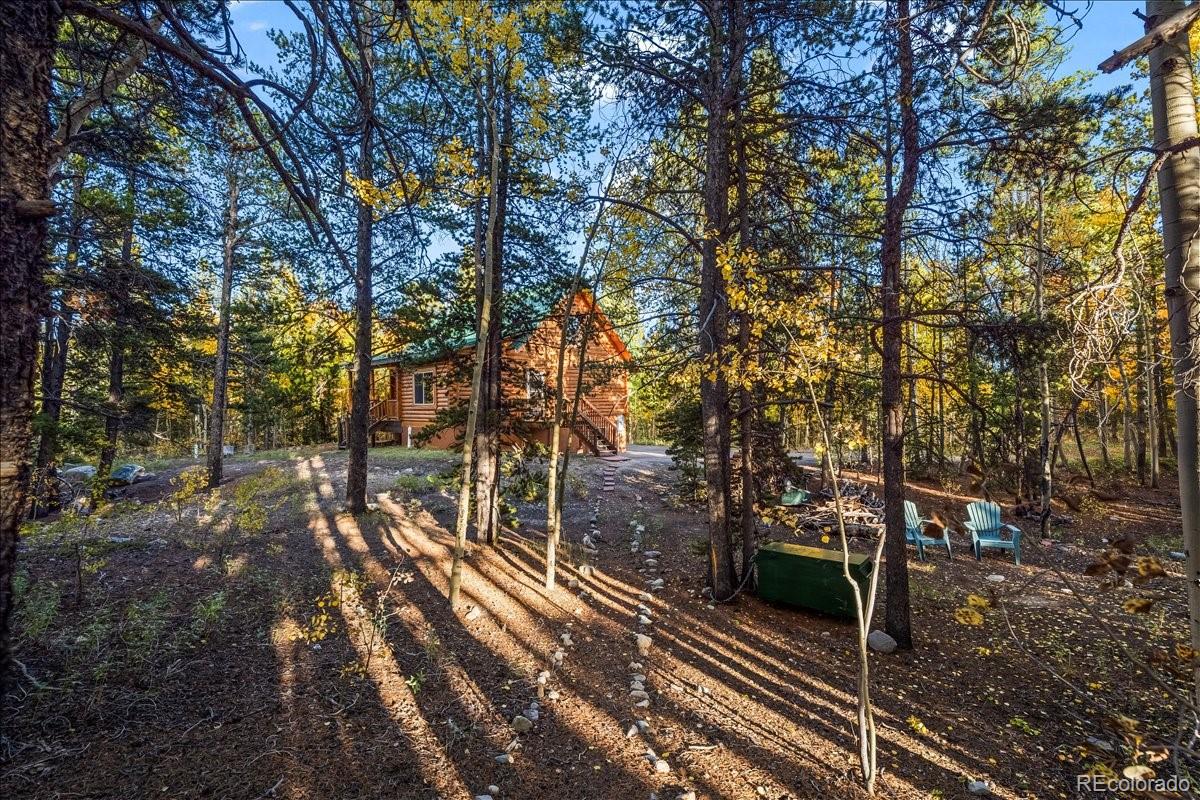 1119 Venture Road Fairplay, CO 80440 - Photo 43 of 49 a view of a yard