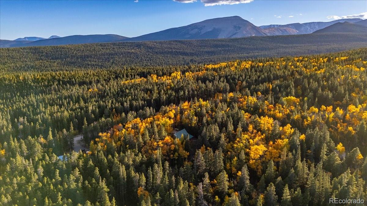 1119 Venture Road Fairplay, CO 80440 - Photo 47 of 49 a view of mountain with outdoor view