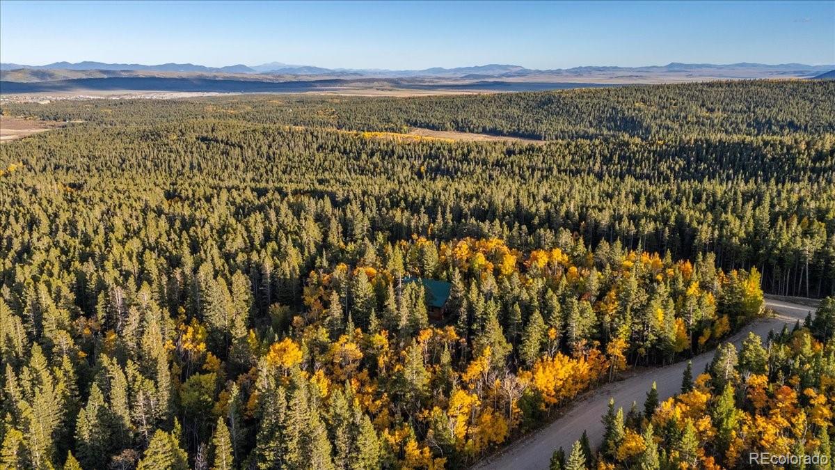 1119 Venture Road Fairplay, CO 80440 - Photo 48 of 49 a view of lake and mountain