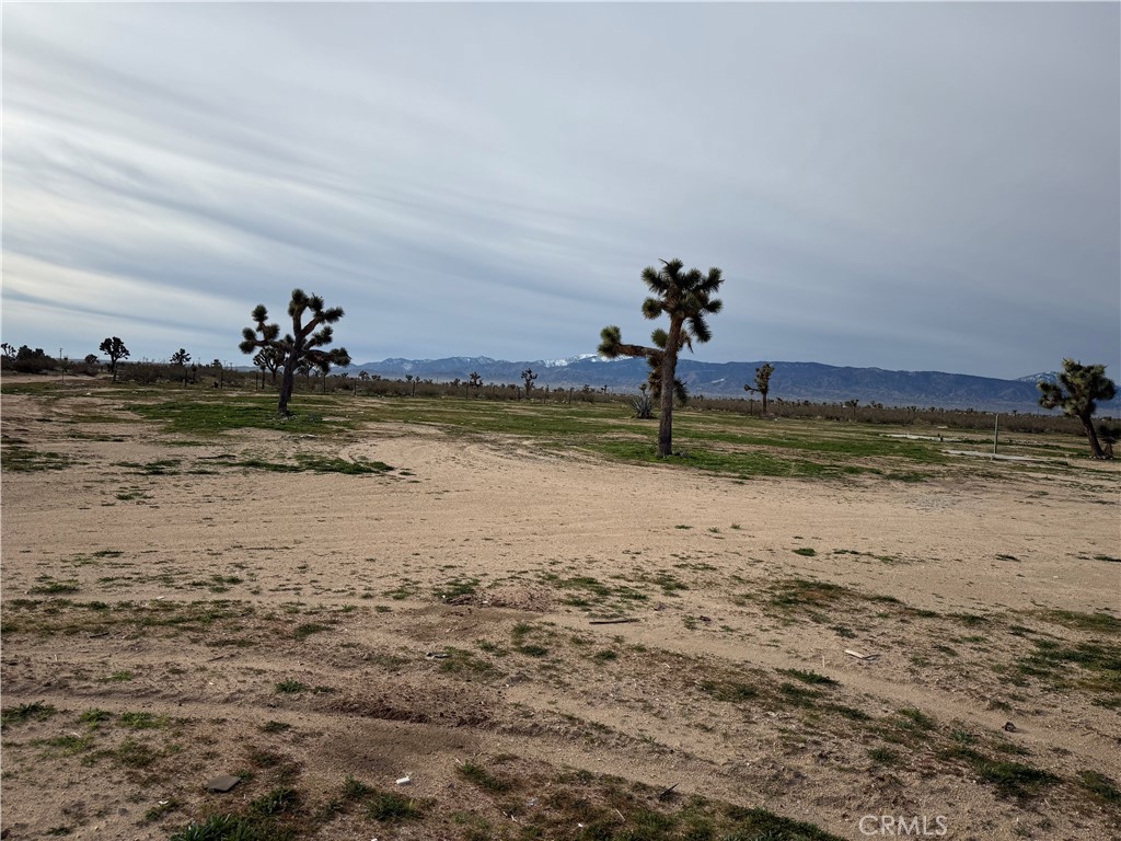 14650 Manada Road Phelan, CA 92371 - Photo 4 of 7 Gallery Image 4