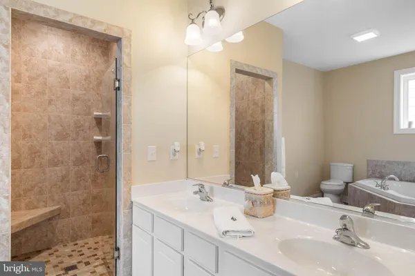 a bathroom with a double vanity sink mirror and shower
